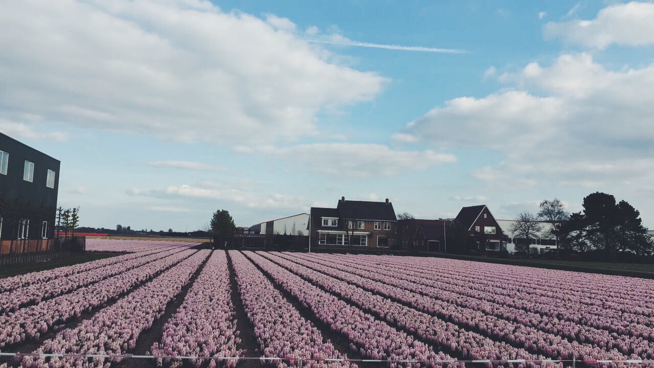 Processed with VSCO with f2 preset